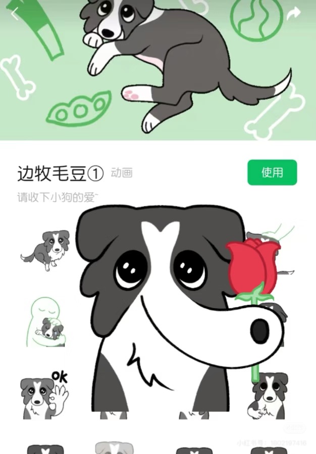 内部参考：边牧角色贴纸包形态